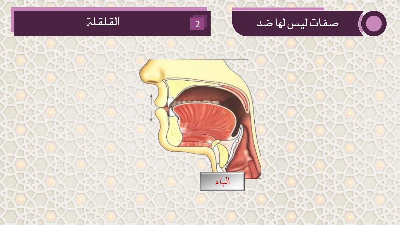 صفات الحروف - الصفحة 16